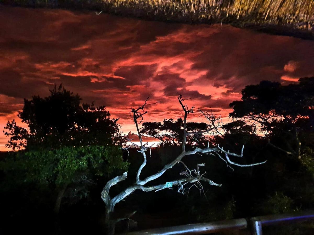 636 Itaga Safari Lodge, Mabalingwe Nature Reserve Mabula Game Reserve 外观 照片