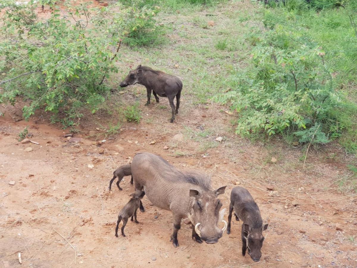 636 Itaga Safari Lodge, Mabalingwe Nature Reserve Mabula Game Reserve 外观 照片
