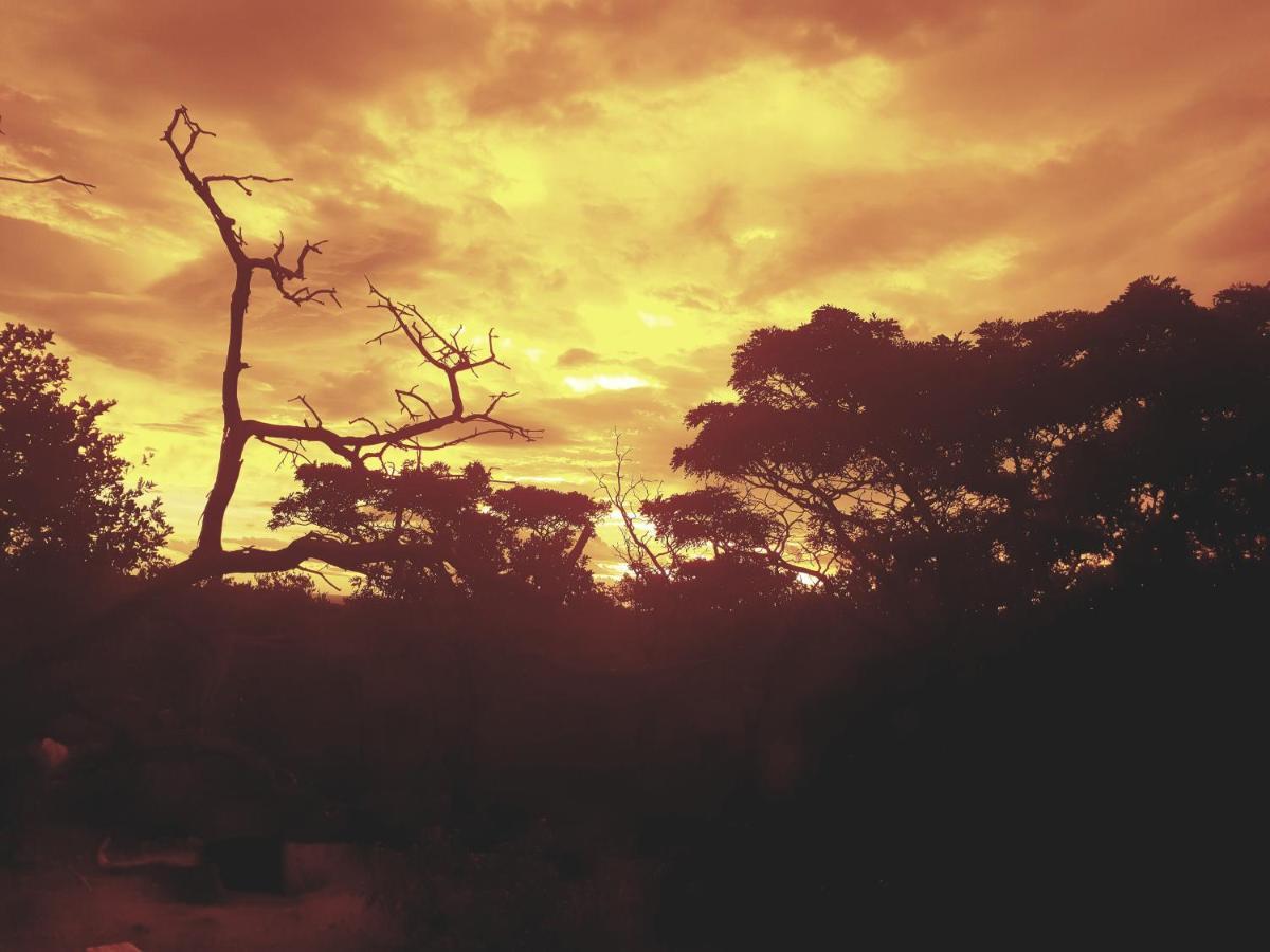 636 Itaga Safari Lodge, Mabalingwe Nature Reserve Mabula Game Reserve 外观 照片