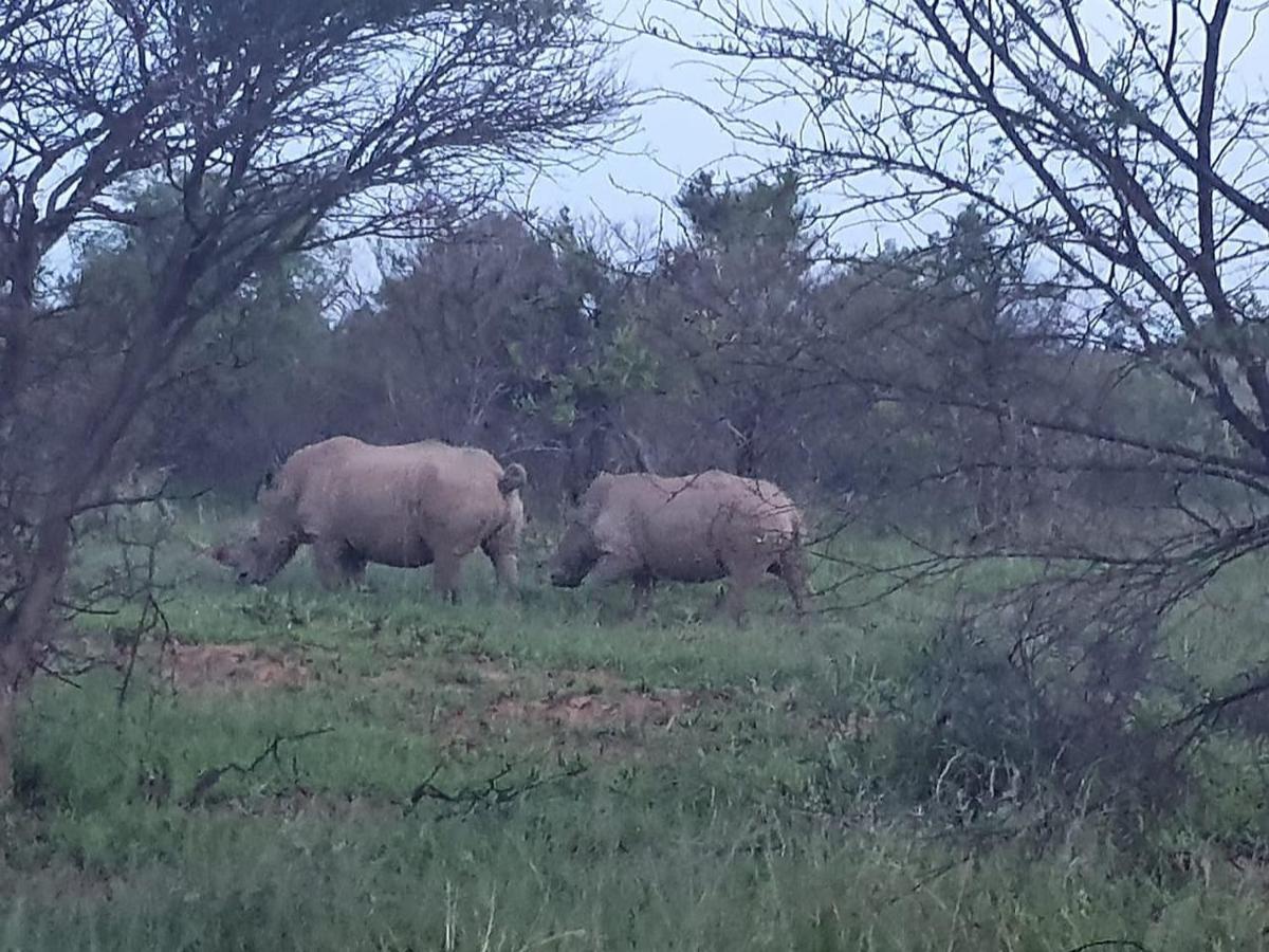 636 Itaga Safari Lodge, Mabalingwe Nature Reserve Mabula Game Reserve 外观 照片